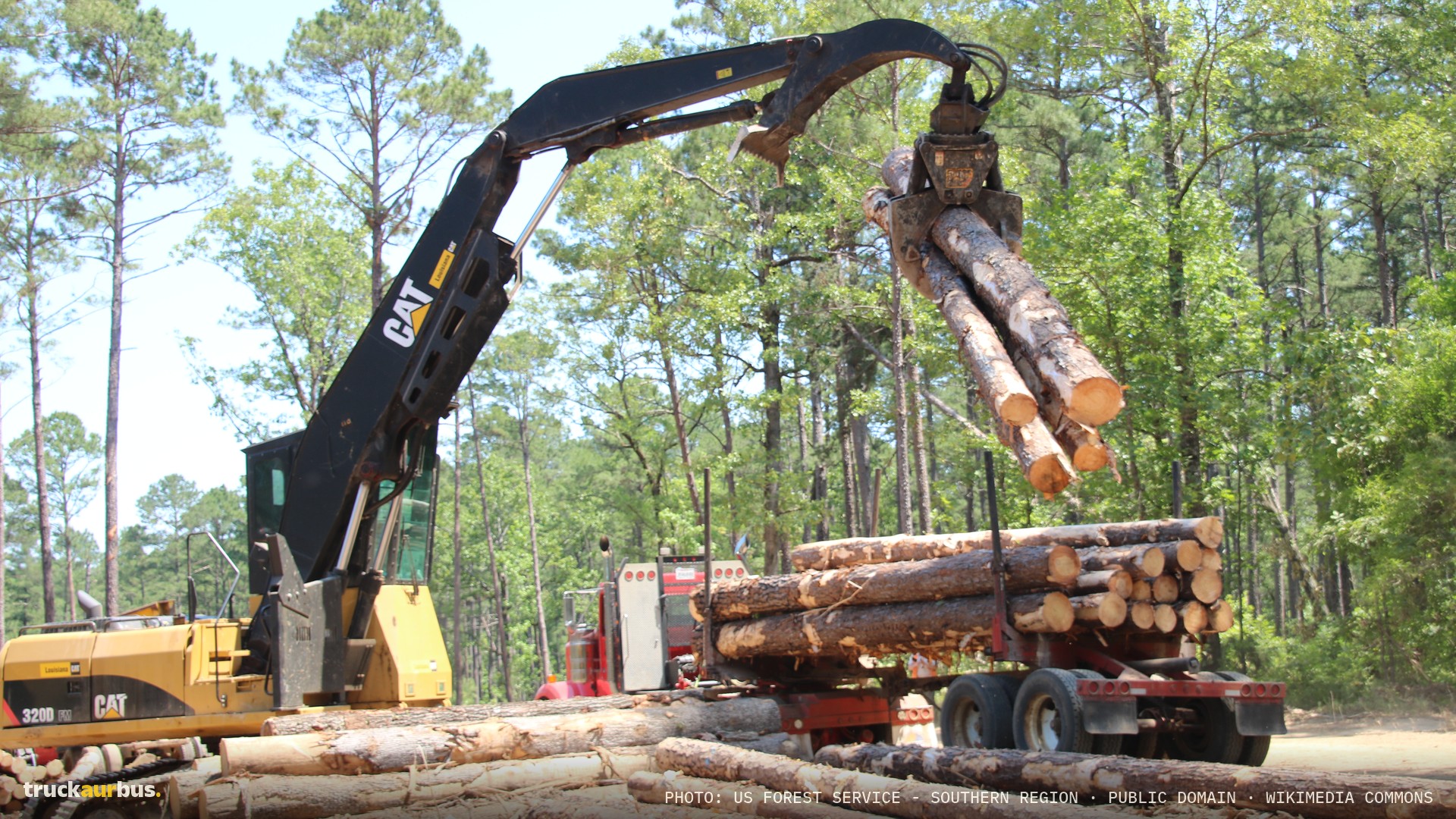 Stott Logging - Kisatchie National Forest - 011