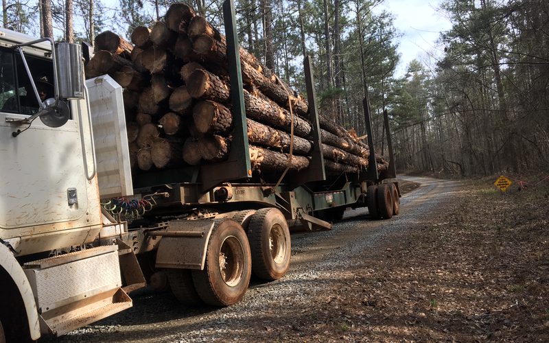 Logging truck