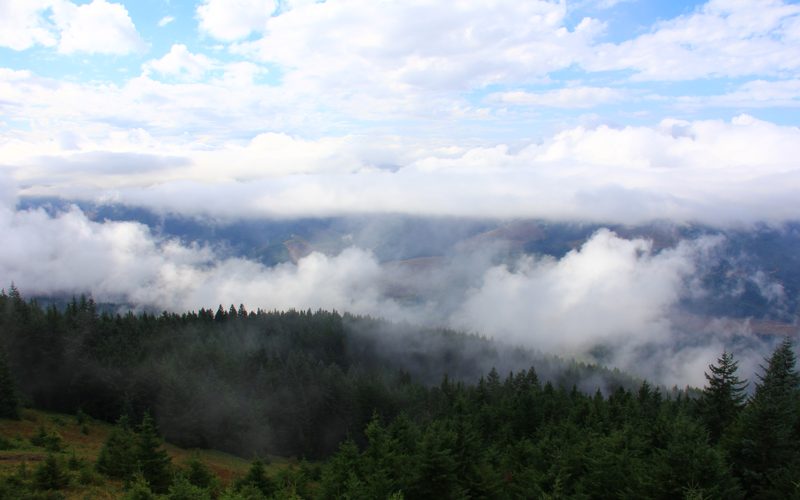 Looking through the Clouds