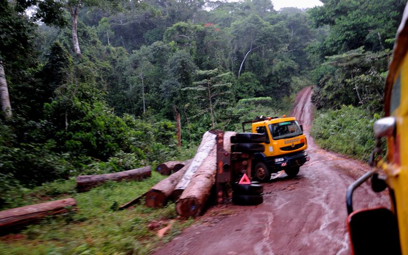 Overturned logging truck near Libongo, Cameroon 2014