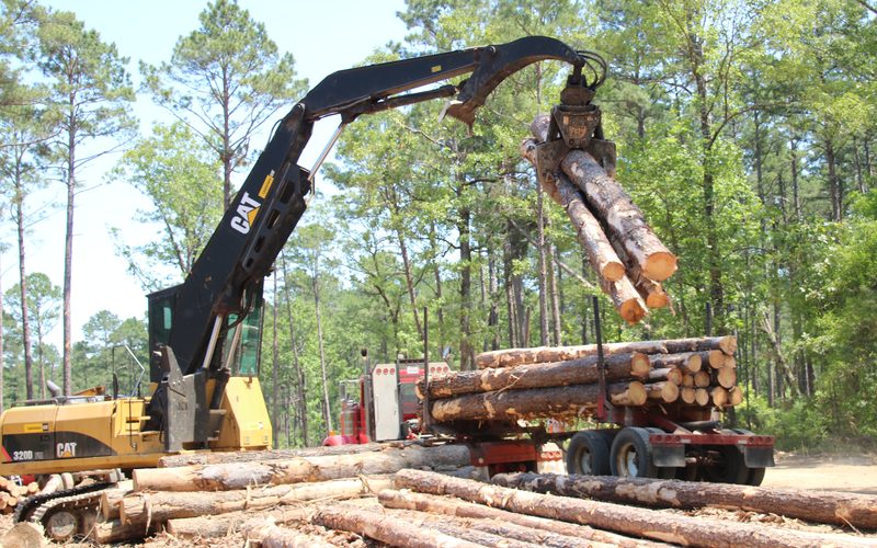 Stott Logging - Kisatchie National Forest - 011